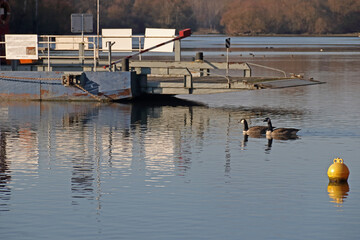 ausgemustert © Asray Laleike