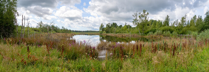 Natürliche Moorlandschaft mit See - Panorama vom Schwenninger Moos bei Villingen-Schwenningen, Deutschland