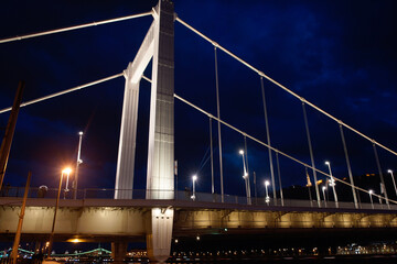 Fototapeta na wymiar Budapest (Hungary). Night view and detail of the Elisabeth Bridge over the Danube River