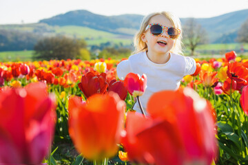 little happy girl in the tulip field