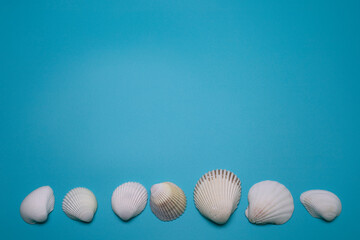 Sea shells on the blue background, with free space for text. Top view, elegant flat lay. Beautiful background and template for your design.