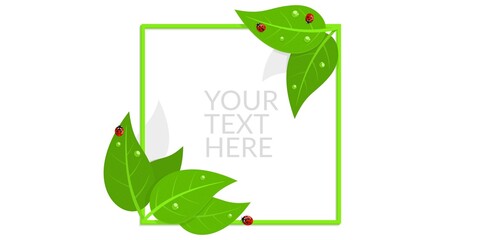 Square Frame Banner With Red Ladybugs And Green Leaves with Water Drops Isolated Vector Illustration Art