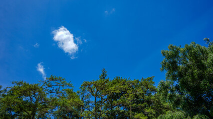 Fototapeta premium sun and clouds