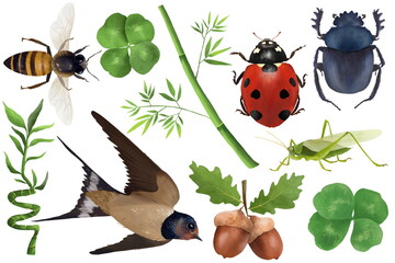 Talismans of good fortune exist all over the world, Good Luck Charms from Around the World for cards, stickers etc.