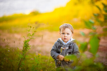 a three-year-old boy on a nature flight, selective focus