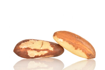 Two ripe organic Brazil nuts, close-up, isolated on white.
