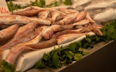 Marketplace in the city of Cádiz