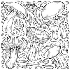 Hand-drawn black and white forest wild collection of assorted edible mushrooms and autumn leaves. Can be used for menu design, label, icon, recipe, packaging, web. Botanical vector set