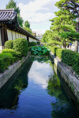 Fototapeta premium 京都の街角風景