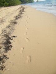 Footprints on the beach