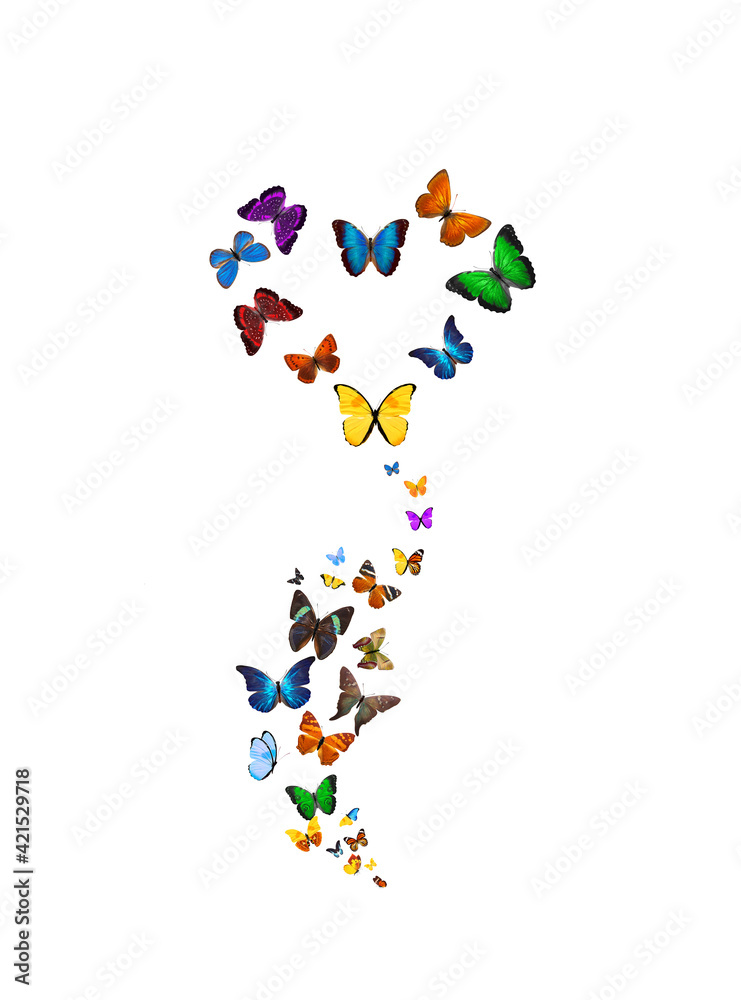 Poster set of flying butterflies in the shape of a flower isolated on white background. tropical insects. c