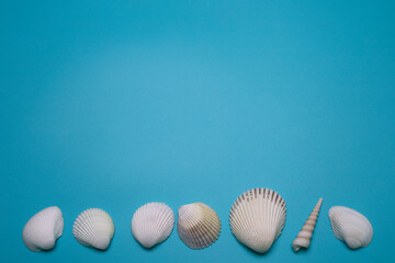 Sea shells on the blue background, with free space for text. Top view, elegant flat lay. Beautiful background and template for your design.