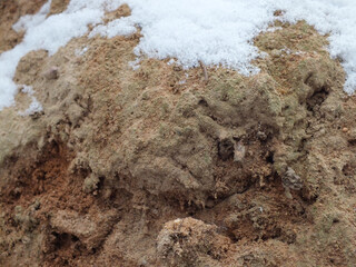 the soil