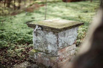 old drinking fountain isolated in garden.
