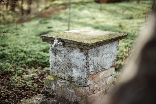 Old Drinking Fountain Isolated In Garden.
