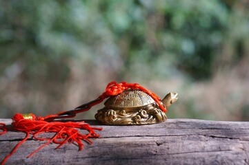 Metal turtle with Chinese coins on a natural background. Symbol of wisdom.