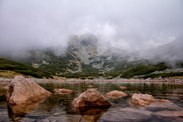 fog in the mountains