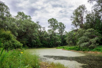 The river Sok, Samara region, Russia.