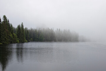 fog on the river