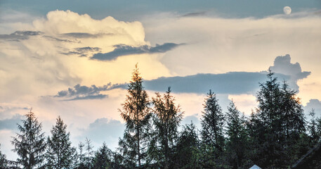 sunset over the forest