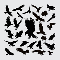 set of eagle silhouettes