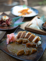 Japanese Menu - Variety of Japanese food Curry Soup Sushi