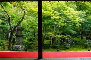 京都の寺院の庭園風景