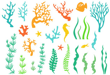 Corals and seaweed © irmaiirma