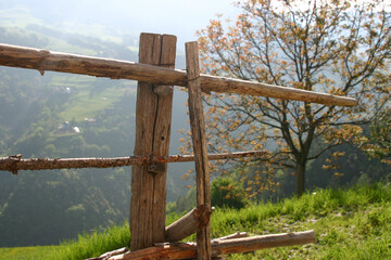 Bergidyll einer Almwiese mit Holzzaun, bl&uuml;henden Baum und Ausblick ins Tal