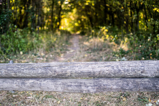 Footpath blocked by wooden logs