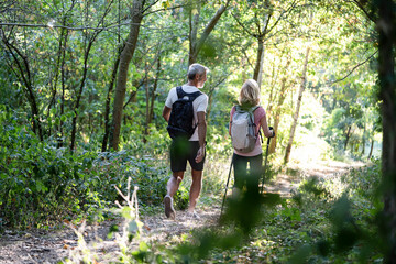 Rear view of mature couple hiking together in forest