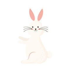 beauty rabbit seated