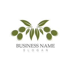 olive icon vector illustration