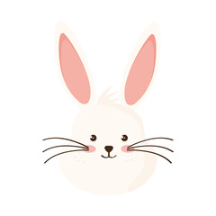 cute rabbit head