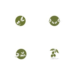 olive icon vector illustration
