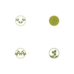 olive icon vector illustration