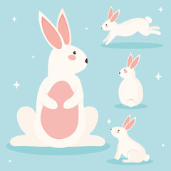 four beauty rabbits