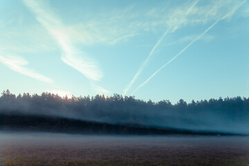 fog near the forest in the meadow at sunrise in the morning