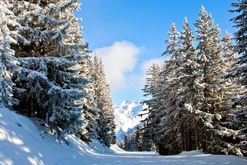 Courchevel 1850 3 Valleys French Alps France