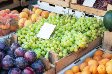Bunches of grapes , peaches and plums on the counter. Green, red bunches of ripe grapes are laid out on the counter of the farmers ' market. The fruit is ready for sale