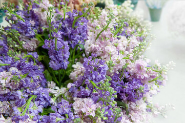 Large bouquet of matthiola close-up. Lilac delicate flowers - floral background