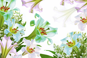 Lilies. Lily of the valley flower on white background.