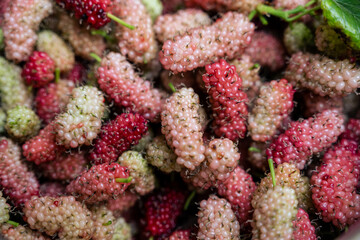 Mulberry, antioxidant, berry, fruit, superfood