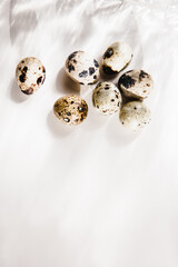 Quail eggs on a white background, hard light, deep shadows. Food background. 