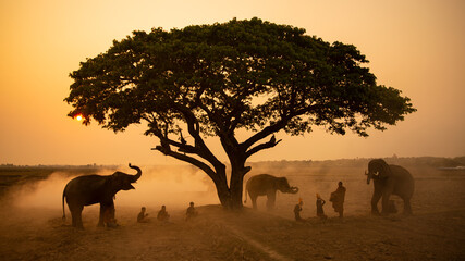 Fototapeta na wymiar Silhouetted People Sitting On Grass By Tree With Elephant On Field Against Sky