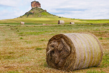 Hay bales near Surrender Hill, Free State, South Africa.