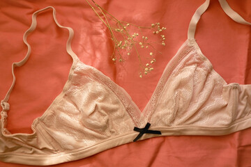 Lace bralette and gypsophila flowers on pink background. Top view.