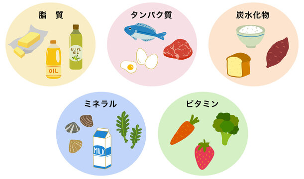 五大栄養素　食品