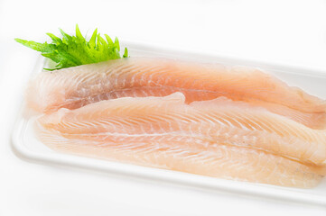 パンガシウス　フィレ