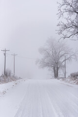 snow covered gravel country road